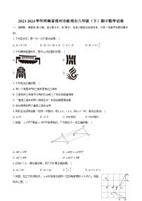 2023-2024学年河南省郑州市新郑市八年级（下）期中数学试卷（含解析）