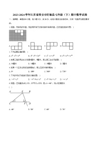 2023-2024学年江苏省淮安市盱眙县七年级（下）期中数学试卷（含解析）