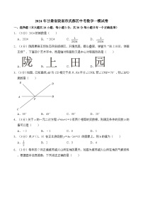 2024年甘肃省陇南市武都区中考数学一模试卷（含解析）