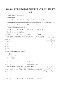 2023-2024学年四川省成都市青羊区树德中学七年级（下）期中数学试卷（含解析）