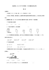 2024年河南省漯河市临颍县中考一模数学试题+