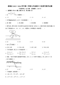 广东省惠州市惠城区惠泽学校六校联考2023-2024学年七年级下学期期中数学试题（原卷版+解析版）