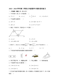 河北省石家庄市第二十三中学2023-2024学年七年级下册期中数学试题（含解析）