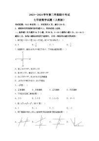 河北省邢台市任泽区2023-2024学年七年级下册期中数学试题（含解析）