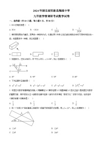 2024年湖北省黄石市阳新县陶港镇初级中学中考模拟数学试题（原卷版+解析版）