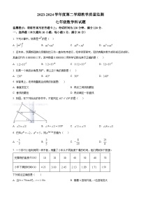 广东省揭阳市揭东区2023-2024学年七年级下学期期中数学试题（原卷版+解析版）