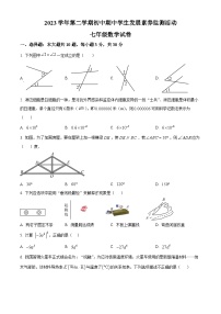 广东省清远市英德市2023-2024学年七年级下学期期中数学试题（原卷版+解析版）