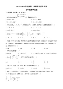 河北省秦皇岛市昌黎县2023-2024学年七年级下学期期中数学试题（原卷版+解析版）