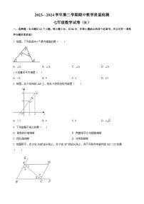 河北省石家庄市平山县2023-2024学年七年级下学期期中数学试题（原卷版+解析版）