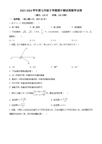 湖北省广水市2023-2024学年七年级下学期期中数学试题（原卷版+解析版）