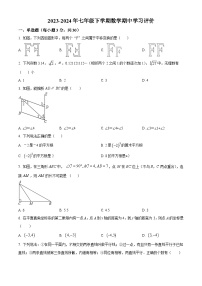 湖北省襄阳市宜城市刘猴中学、志远学校、雷河中学等2023-2024学年七年级下学期期中数学试题（原卷版+解析版）