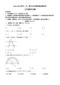 陕西省渭南市澄城县2023-2024学年七年级下学期期中数学试题（原卷版+解析版）