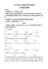 浙江省杭州市淳安县2023-2024学年九年级下学期期中数学试题（原卷版+解析版）