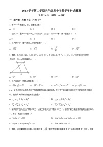 浙江省宁波市余姚市2023-2024学年八年级下学期期中数学试题（原卷版+解析版）