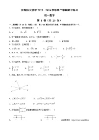 北京市首都师范大学附属中学2023-2024学年七年级下学期期中数学试题(无答案)