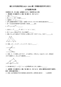 江苏省镇江市外国语学校2023-2024学年七年级下学期期中数学试题(无答案)