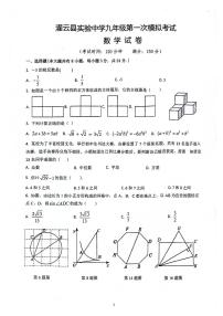 2024年江苏省连云港市灌云县+实验中学中考一模数学试题