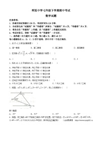 安徽省合肥市庐江县柯坦中学2023-2024学年七年级下学期期中数学试题