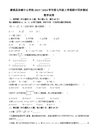 安徽省淮北市濉溪县孙疃中心学校2023-2024学年七年级下学期期中数学试题