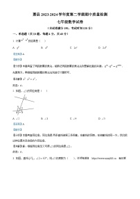 安徽省宿州市萧县2023-2024学年七年级下学期期中数学试题