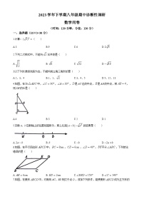 广东省广州市华侨中学2023-2024学年八年级下学期期中数学试题(无答案)