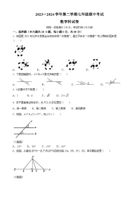 广东省汕头市潮阳区金培学校2023-2024学年七年级下学期期中数学试题(无答案)