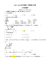 广东省汕头市潮阳实验学校2023-2024学年九年级下学期期中数学试题(无答案)