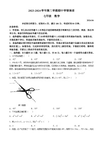 广东省深圳市龙华区民治中学2023-2024学年七年级下学期期中数学试题(无答案)