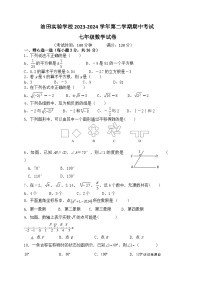 河南省濮阳市华龙区濮阳油田实验学校集团2023-2024学年七年级下学期4月期中考试数学试题