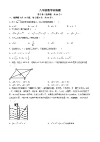 湖北省武汉市武昌区拼搏联盟2023-2024学年八年级下学期期中数学试题(无答案)