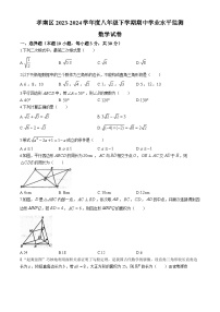 湖北省孝感市孝南区2023-2024学年八年级下学期期中数学试题(无答案)