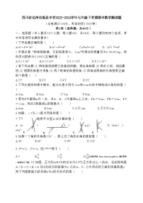 四川省达州市渠县中学2023-2024学年七年级下学期期中考试数学试题