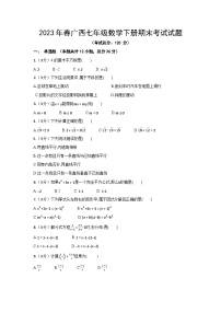 2023年春广西七年级数学下册期末考试试题（含答案）