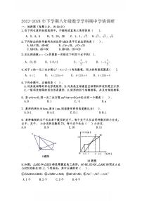 2024哈尔滨市113中学八年级（下）期中数学试题及答案