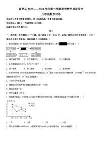 河北省秦皇岛市青龙县2023-2024学年八年级下学期期中数学试题（含解析）