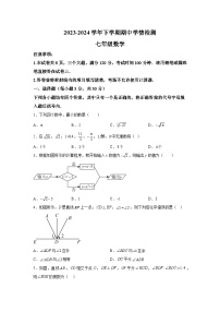 河南省三门峡市渑池县2023-2024学年七年级下学期期中数学试题（含解析）