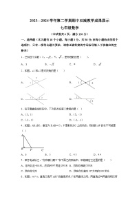 山西省忻州地区2023-2024学年七年级下学期期中数学试题（含解析）