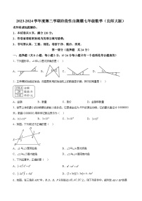 陕西省咸阳市兴平市2023-2024学年七年级下学期期中数学试题（含解析）