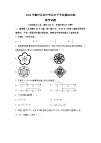 2024年湖北省襄阳市襄州区中考模拟数学试题（含解析）