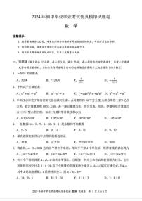 2024年湖南省娄底市初中学业水平考试模拟考试数学试题