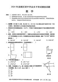 2024年广东省+汕头市龙湖区九年级中考+一模数学试题
