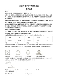 2024年广东省揭阳市普宁市中考一模数学试题