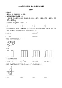 2024年广东省云浮市新兴县中考二模数学试题
