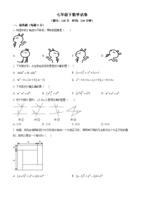 湖南省永州市京华中学2023-2024学年七年级下学期期中数学试题（原卷版+解析版）