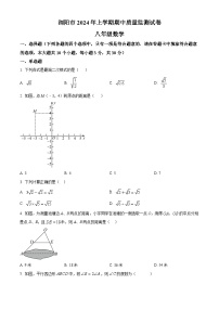 湖南省长沙市浏阳市2023-2024学年八年级下学期期中数学试题（原卷版+解析版）