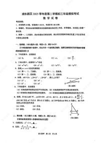 2024年上海年浦东中考二模数学-(试卷及答案)