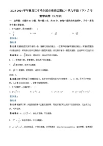 黑龙江省哈尔滨市南岗区萧红中学2023-2024学年九年级下学期月考数学试题