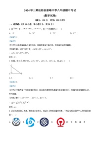 湖南省郴州市桂阳县鹿峰中学2023-2024学年八年级下学期期中数学试题