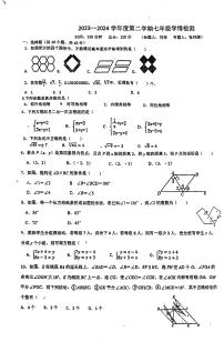 安徽省阜阳市颍州区第十五中学2023—2024学年七年级下学期4月期中数学试题