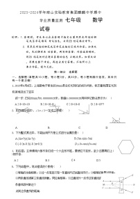 广东省深圳南山实验集团麒麟中学2023 — 2024学年下学期七年级数学期中测试题